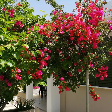 Casa Da Bugainvillea